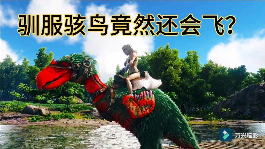 方舟骇鸟任务多少级解锁