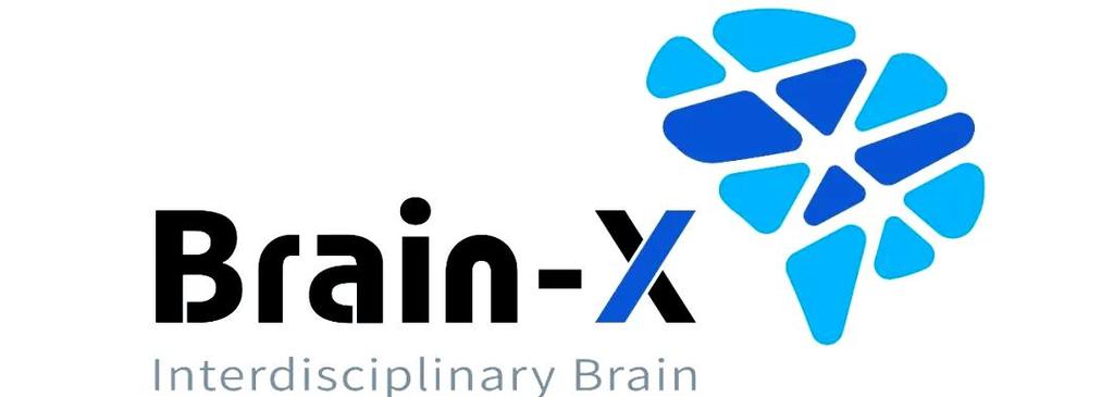 brainx什么水平