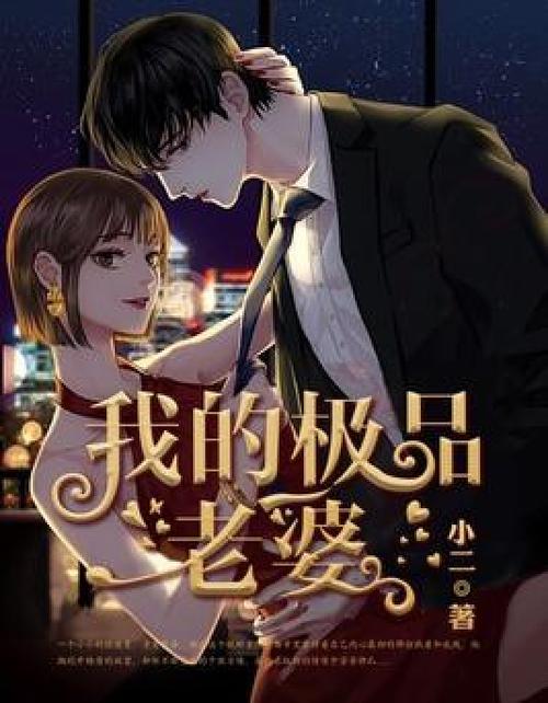 我的老婆的小说TXT电子书下载