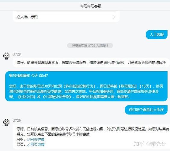 B站账号被限流的原因游戏截图