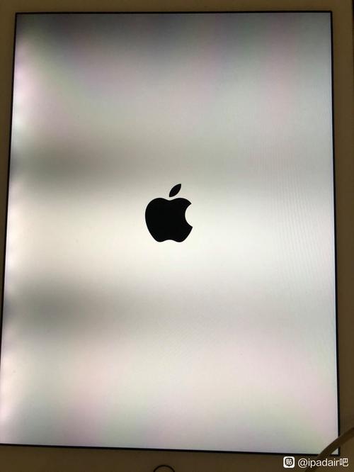 我的iPad屏幕上有黑影
