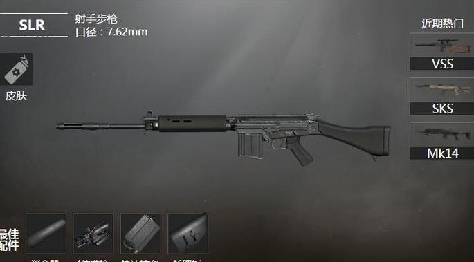 slr射手步枪