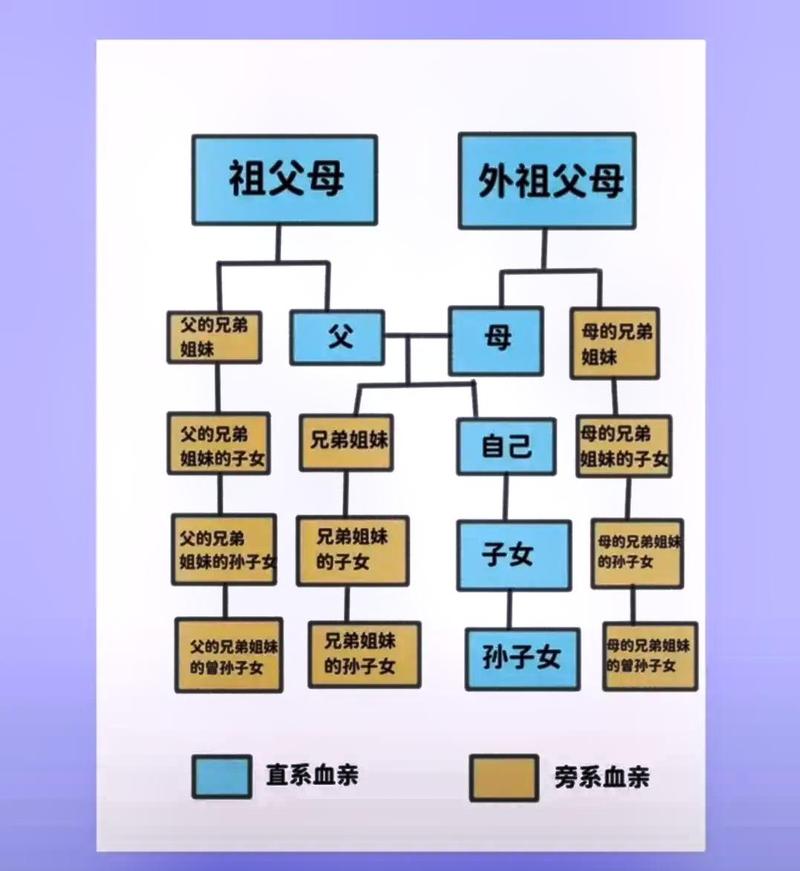 同母异父的概念缩略图