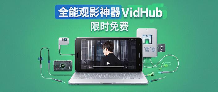vid转mp4最简单方法