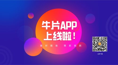 牛片app怎么接单截图