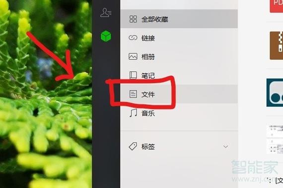微信里的视频怎么导入u盘