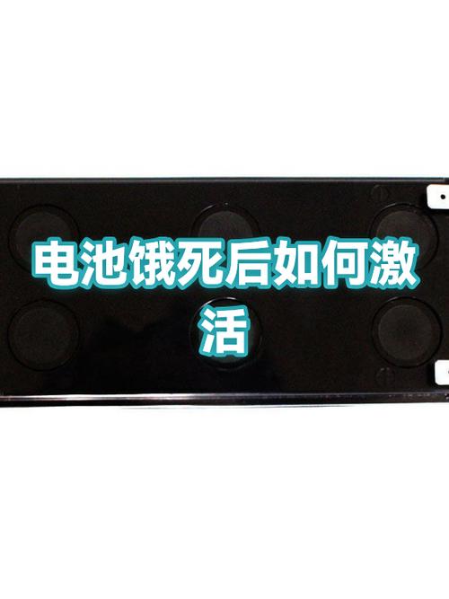 电池饿死充多久激活