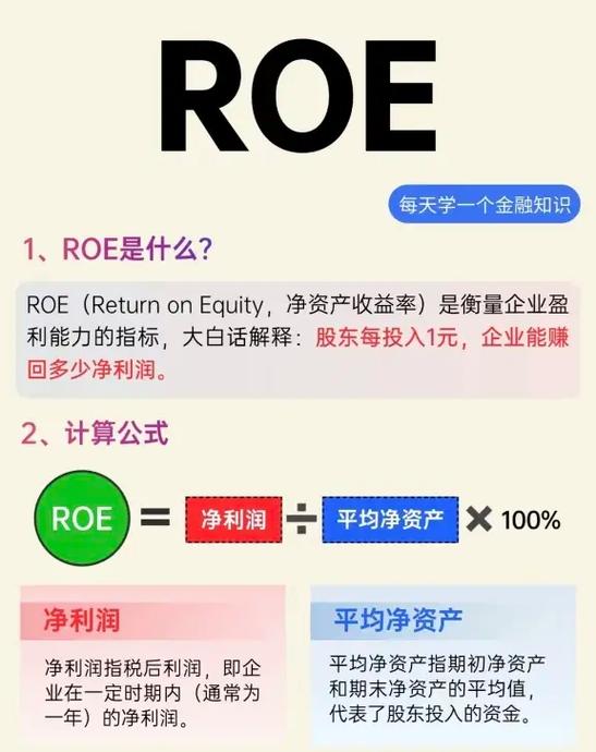 股市roe是什么意思?