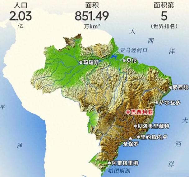 巴西热还是中国热
