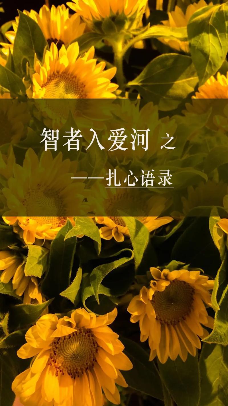李闰珉你的心河含义