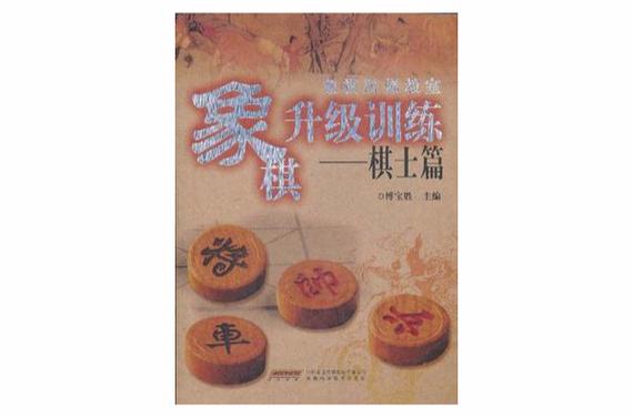 中国象棋二级棋士待遇