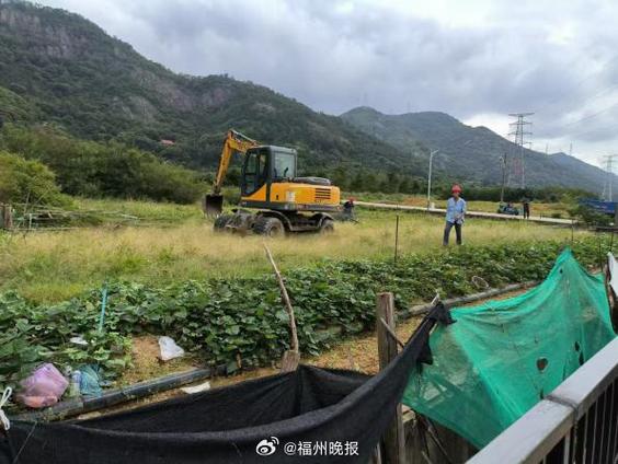 20年前建的养殖场算是违建吗