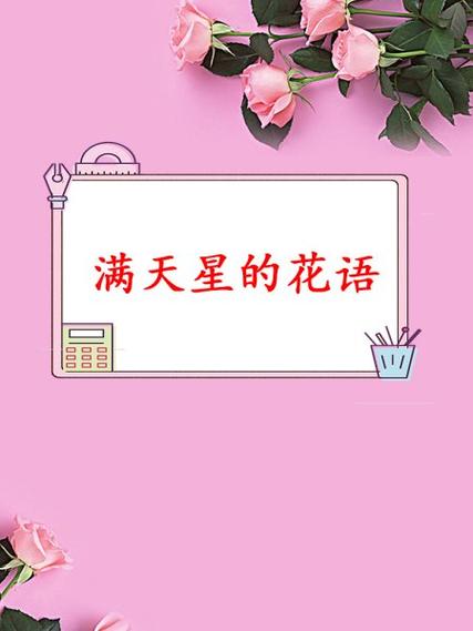 满天星花语