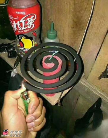 搞笑蚊香广告语