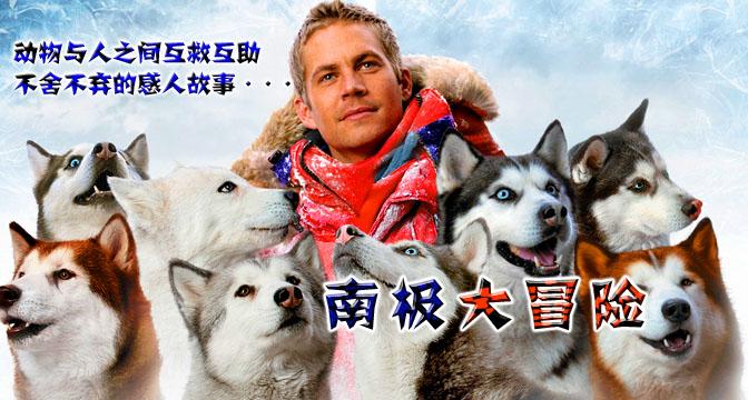 南极大冒险完整版在线
