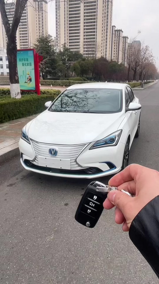 逸动EV460停产原因