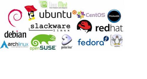 Linux系统哪个版本好