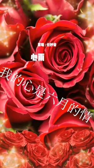 我的心是六月的情