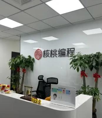 核桃编程营好不好缩略图