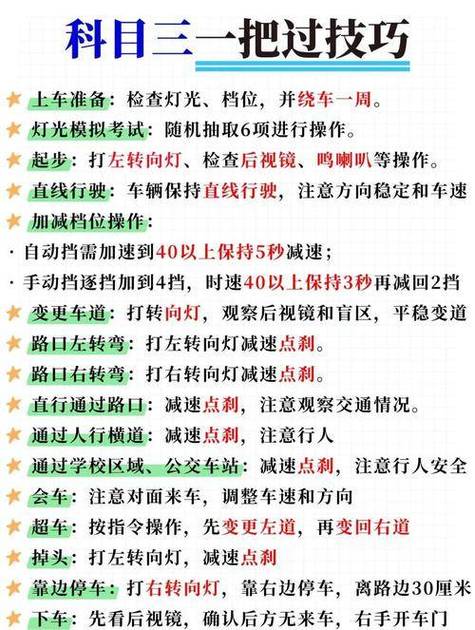 科目三完整版