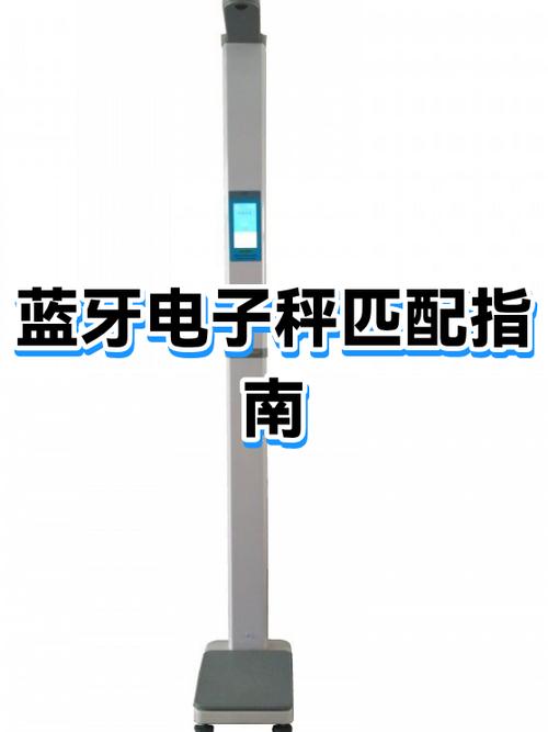蓝牙电子秤的电量怎么看