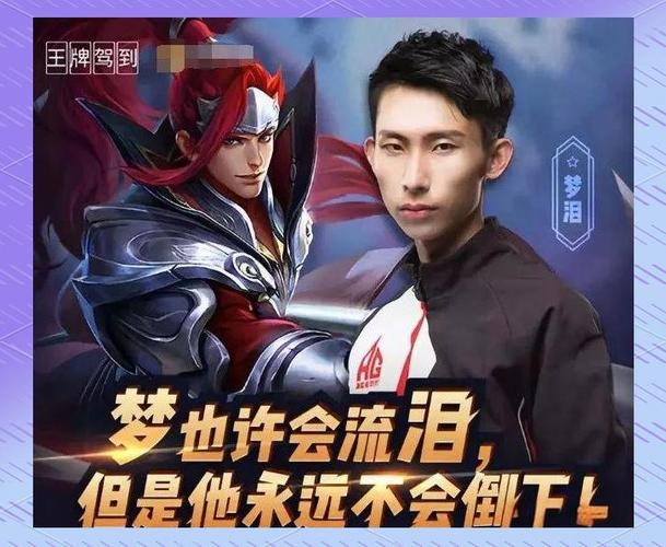 梦泪总资产多少亿