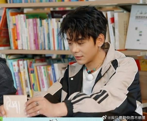 丁真珍珠学历截图
