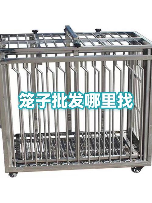 笼子在哪买