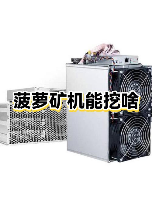 菠萝矿机