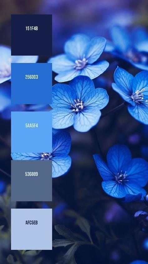 蓝色的色彩分析缩略图