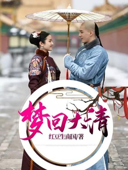 穿越小说梦回大清