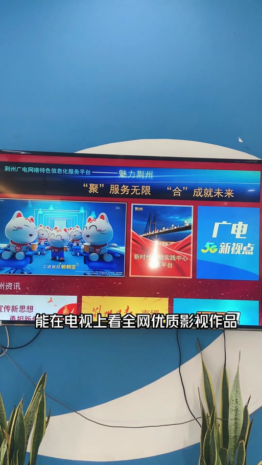 湖北广电鳄鱼TV套餐怎么样