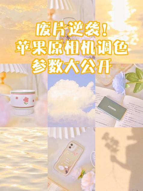 iphone11相机怎么调滤镜
