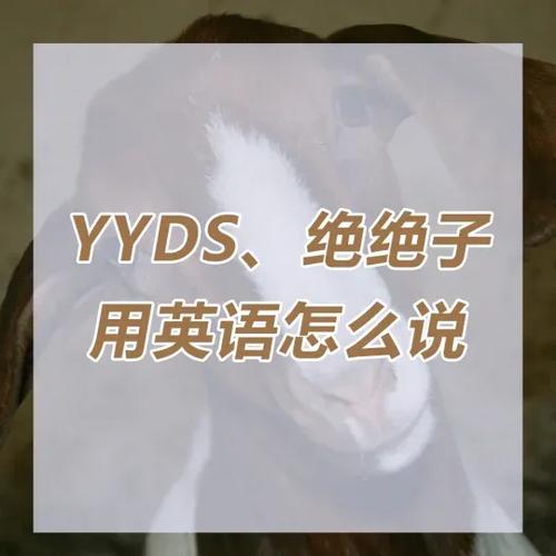 美国俚语holla什么意思