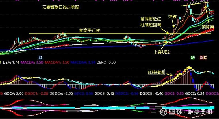 股票为什么会涨