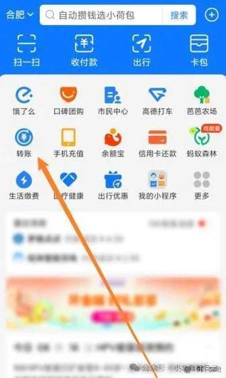 支付宝仿真软件缩略图