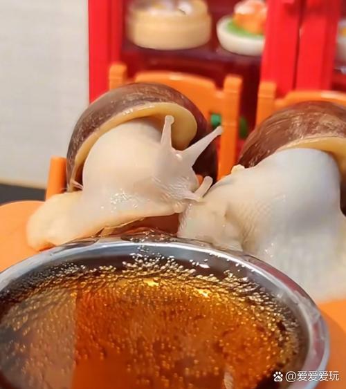 把蜗牛放进可乐里