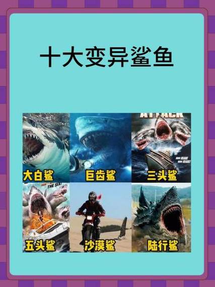 火鲨vs毒鲨vs巨齿鲨