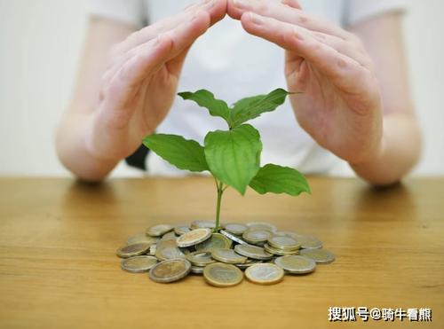 只投资不参与经营协议