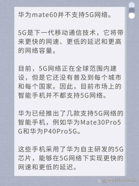 华为手机不支持5g网络吗