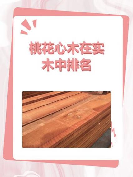 《桃花心木》课文