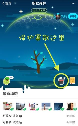 蚂蚁森林钻石保护罩要多少积分