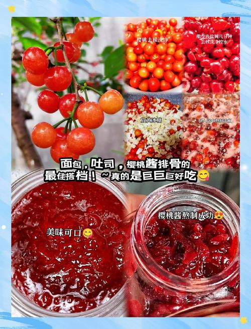 樱桃酱尽量少吃的原因