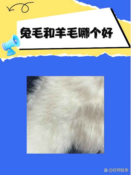 羊毛和免毛哪个更保暖截图