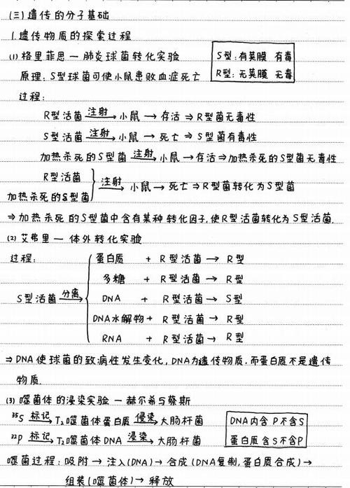 高中生物遗传学30道题及解析