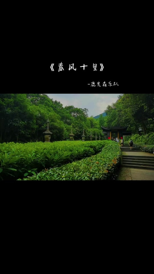 春风十里这首歌表达了什么缩略图
