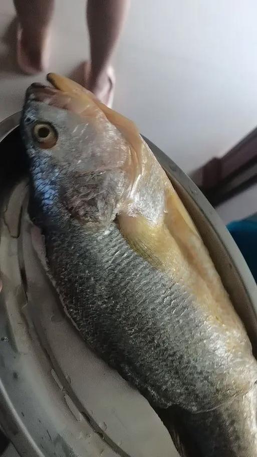 鱼不处理直接冷冻