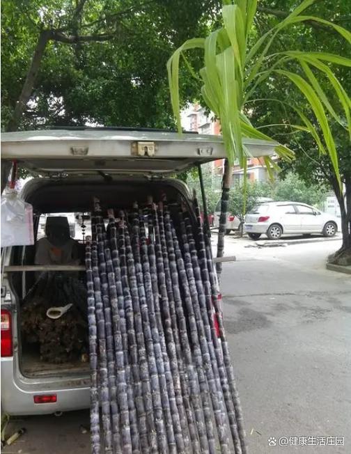摆摊卖甘蔗从哪里进货好游戏截图