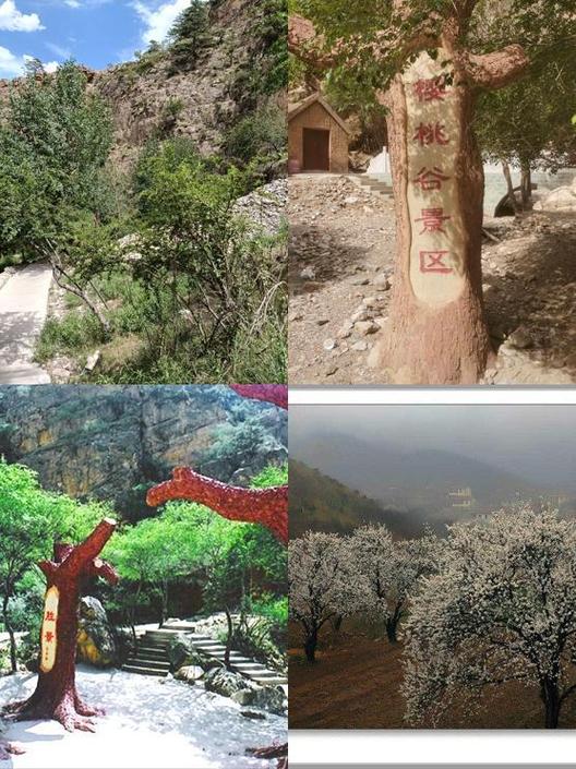 银川必去的5个景点