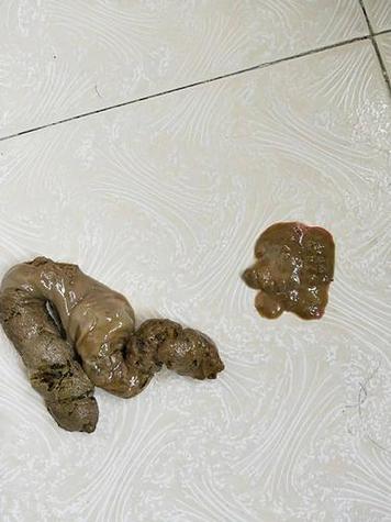 狗狗便便图片缩略图